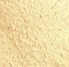 SHIITAKE MUSHROOMS POWDER